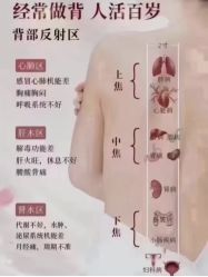 -香薇妮丝·定制减肥·身材管理