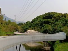 -深圳仙湖植物园