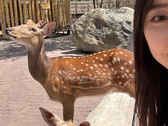 -水上乐园·欢乐世界