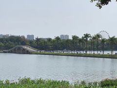 -南宁南湖公园