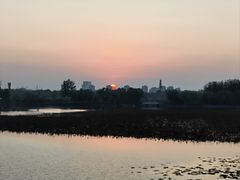 -大兴滨河森林公园