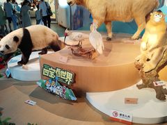 -陕西自然博物馆