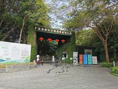 -华侨城湿地公园