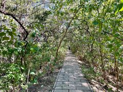 -元大都城垣遗址公园