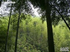 -山沟沟景区