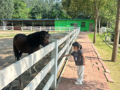 -西部长青自然儿童乐园