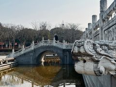 -观潮胜地公园