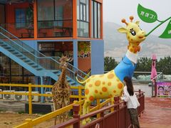 -西霞口神雕山野生动物世界