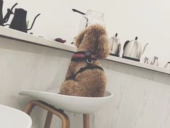 -边渡咖啡烘焙店(昙华林店)