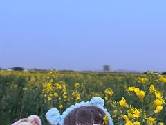 -汉长安城未央宫国家考古遗址公园