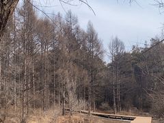 -长春净月潭风景名胜区