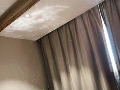 -成都蓝城悦杏温泉美食酒店(宽窄巷子店)