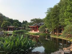 -顺峰山公园
