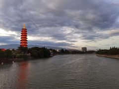 -浦江麦饼
