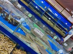 -张树军海鲜(王府壹号店)
