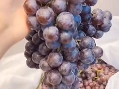 新疆玻璃脆葡萄-水果天空(东葛店)