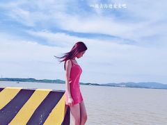 -汕尾风车岛