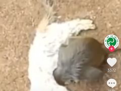 -昆明动物园