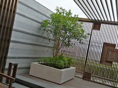 -杭州君悦酒店
