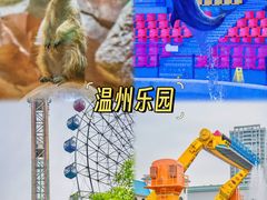 -温州乐园