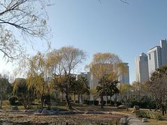-郑东新区湿地公园