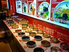 -钢管厂五区小郡肝火锅·非遗串串香(39年总店)