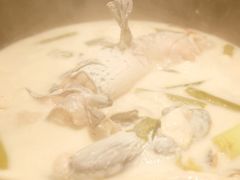 -鲜潭蒸汽石锅鱼(五道口购物中心店)