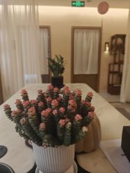 -御品•瑶浴灸疗SPA