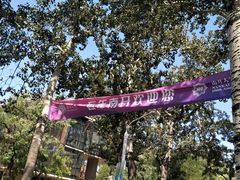 -南开大学-学生第2食堂