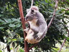 -可伦宾野生动物保护区