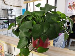 -八两八金·莱芜特色炒鸡(市南漳浦路店)