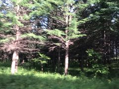 -塞罕坝国家级自然保护区