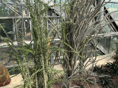 -南山植物园