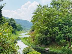 -九龙湖公园