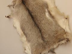 -郭靖·烤全羊·内蒙菜·烧烤(望京旗舰店)