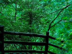 -剑门关风景区