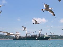 -海驴岛(荣成市)