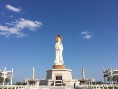 -呼兰河口湿地公园