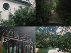 -深圳国际园林花卉博览园