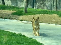 -北京野生动物园