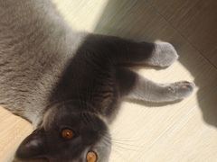 -宠颐生动物医院·心脏科·保险定点(锦阳分院)