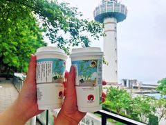 -茶颜悦色(岳麓山顶店)