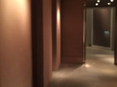-上海柏悦酒店