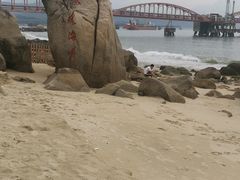 -杨梅坑