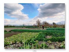 -翠田Green Field Kitchen