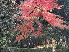 -汇龙潭