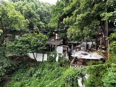 -南山植物园