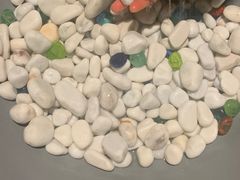 -泰禾馨·泰式按摩精油SPA(河西万达店)