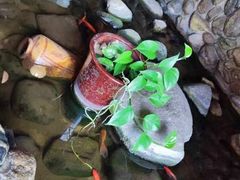 -一桶江山餐厅(松北店)