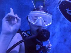 -烟台海昌鲸鲨海洋公园